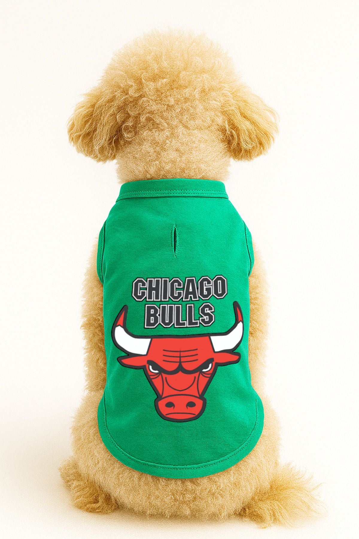 Kedi ve Köpek Kıyafeti & Elbisesi - Yeşil Chicago Bulls Atlet