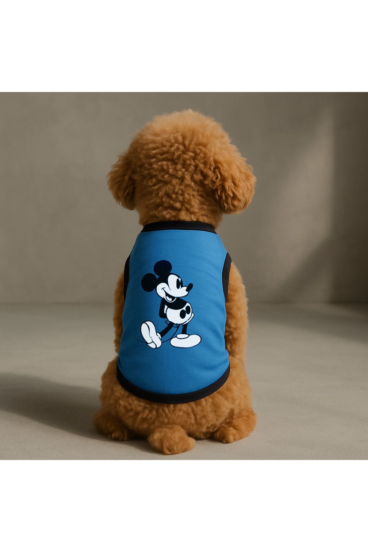 Yeni Sezon Köpek Ve Kedi Kıyafeti - Mavi Mickey Mouse