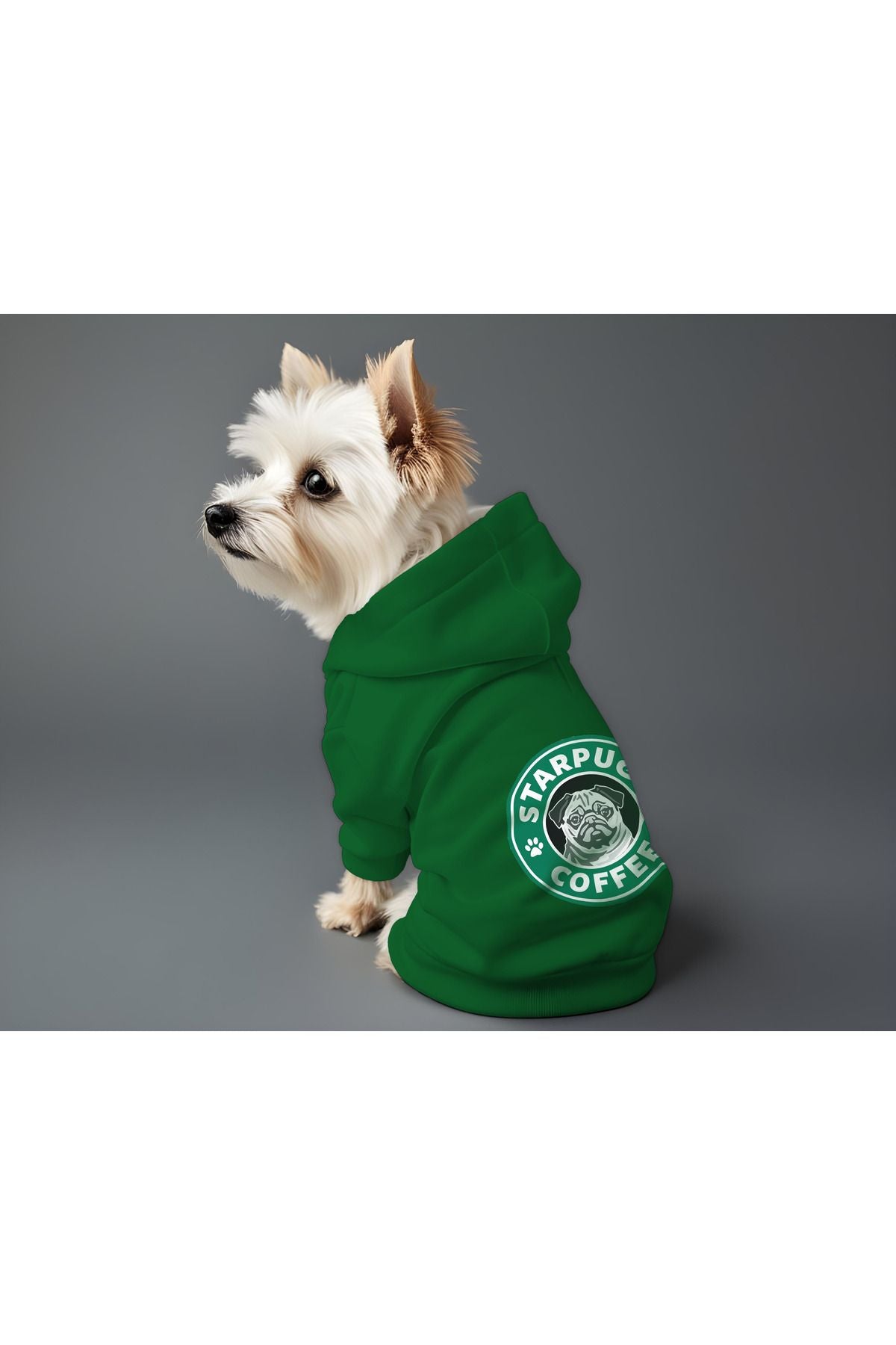 Kedi ve Köpek Kıyafeti & Elbisesi - Yeşil Hoodie Starpugs