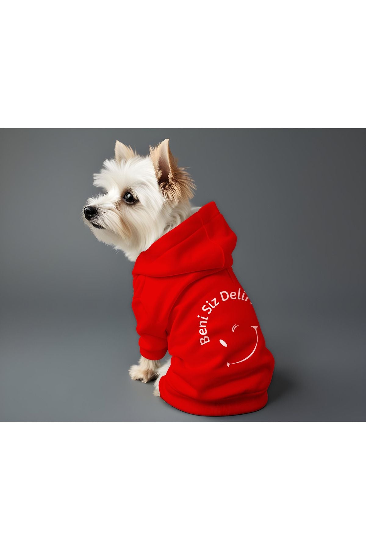 Kedi ve Köpek Kıyafeti & Elbisesi - Kırmızı Hoodie Beni Siz Delirttiniz