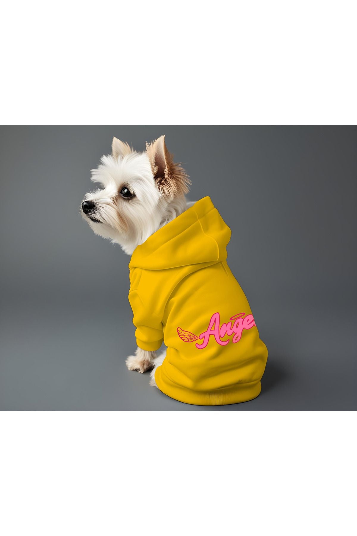 Kedi ve Köpek Kıyafeti & Elbisesi - Sarı Hoodie Angel