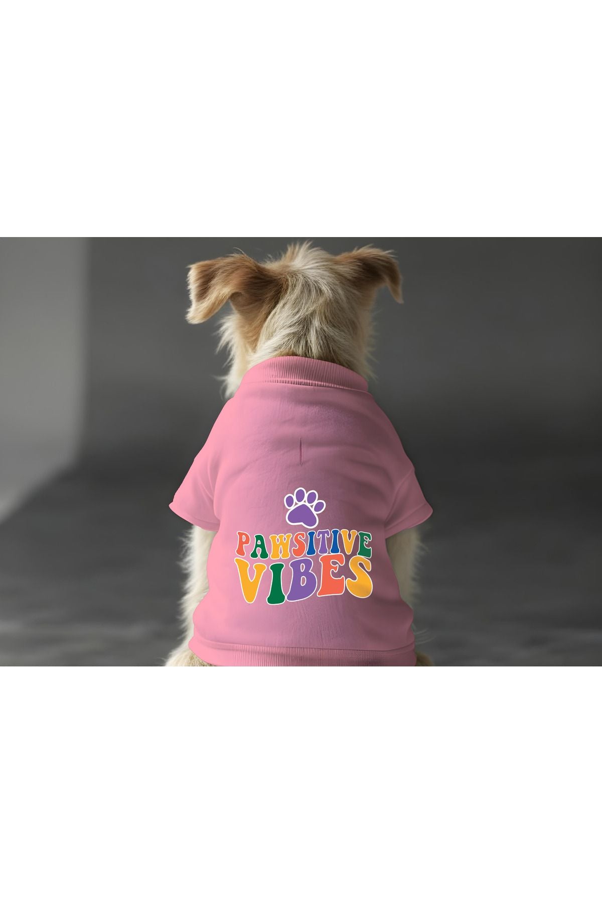 Kedi ve Köpek Kıyafeti & Elbisesi - Pembe Sweatshirt Pawsitive Vibes