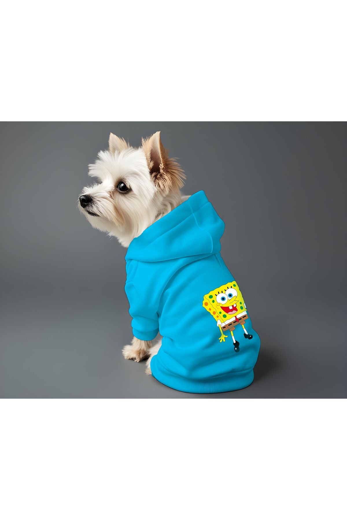 Kedi ve Köpek Kıyafeti & Elbisesi - Mavi Hoodie Süner Bob