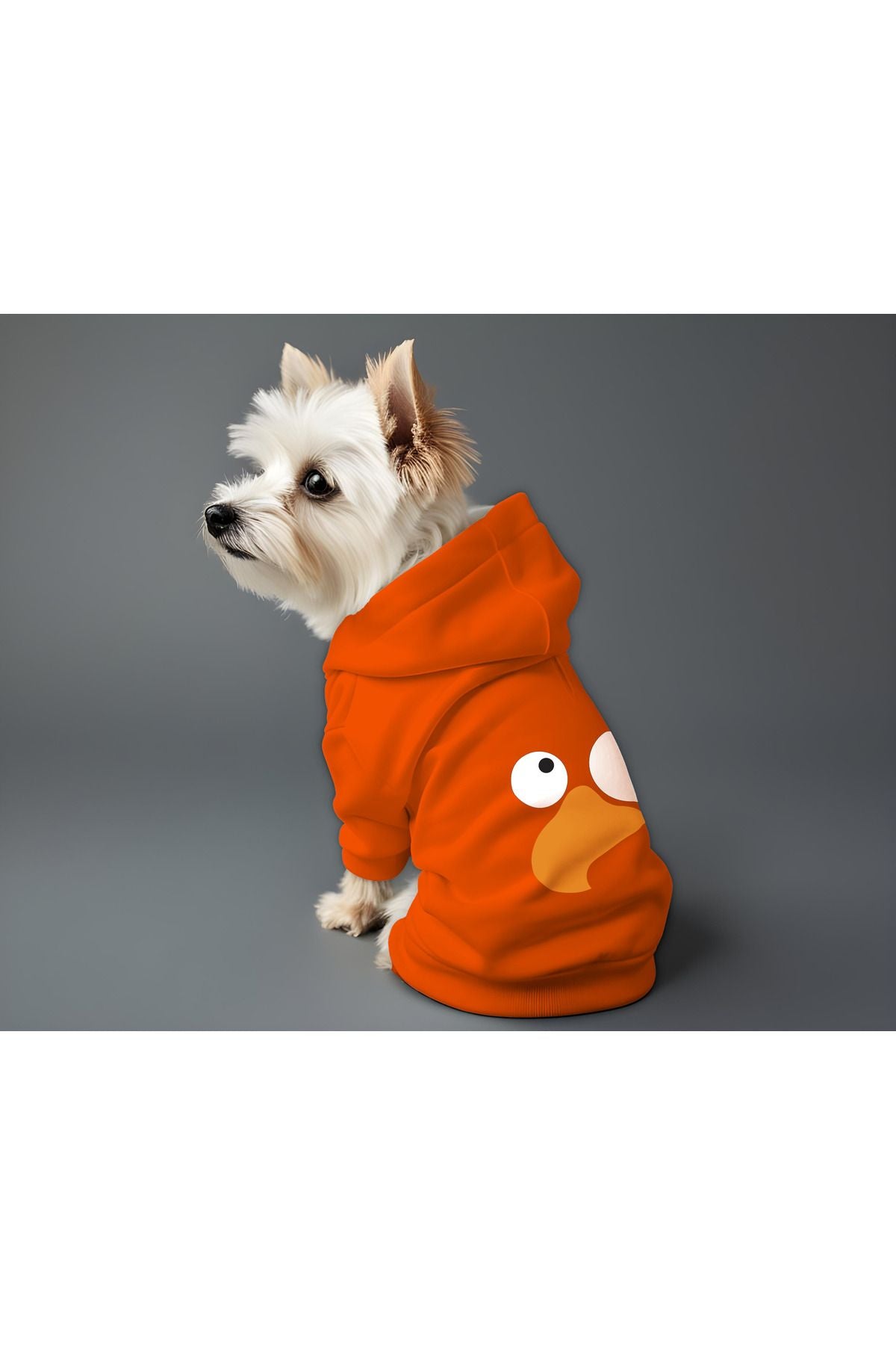 Kedi ve Köpek Kıyafeti & Elbisesi - Turuncu Hoodie Kuş