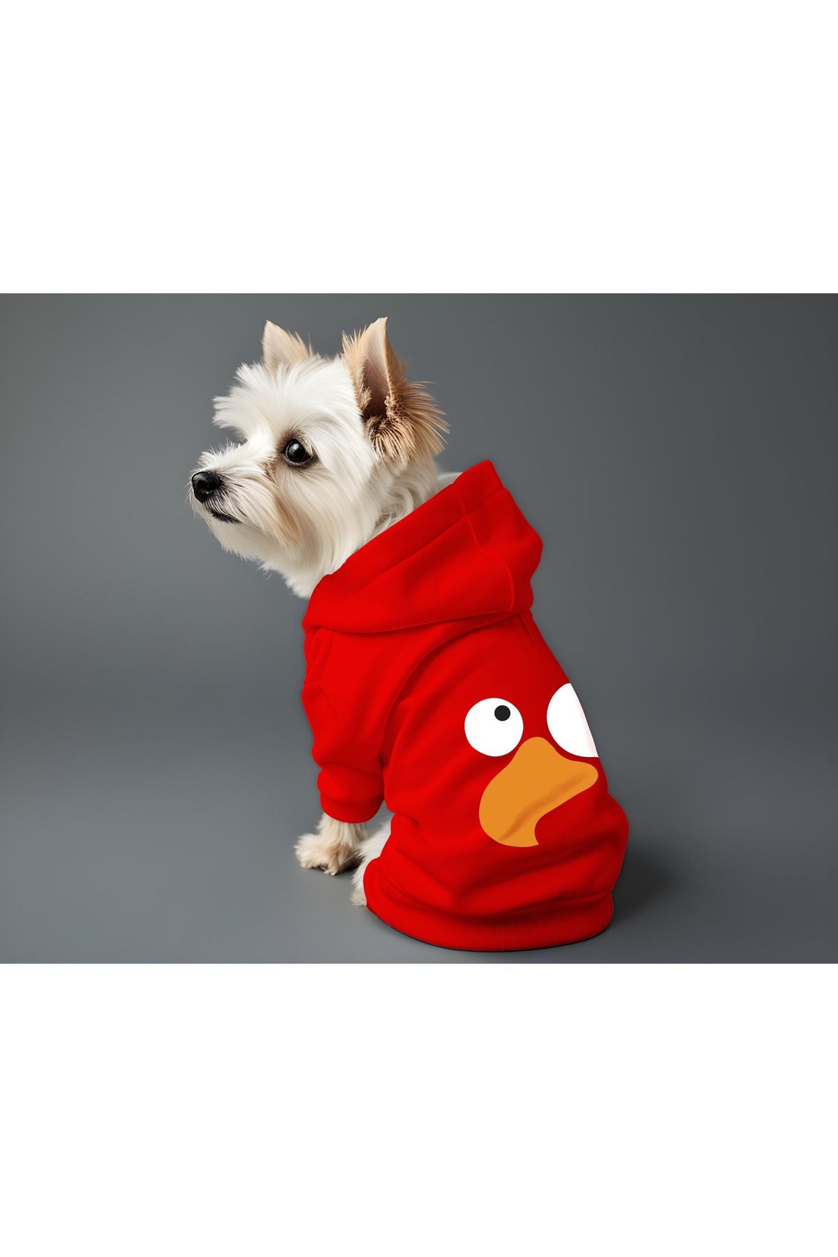 Kedi ve Köpek Kıyafeti & Elbisesi - Kırmızı Hoodie Vektör Kuş