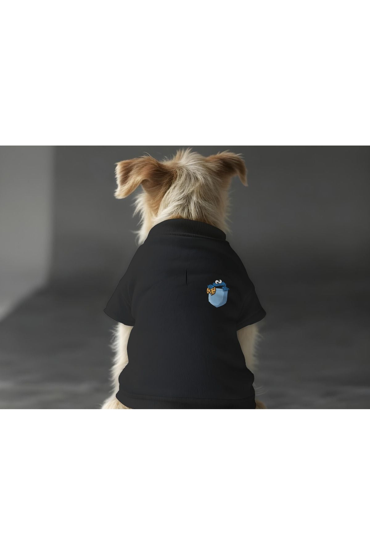 Kedi ve Köpek Kıyafeti & Elbisesi - Siyah Sweatshirt Kurabiye Cep