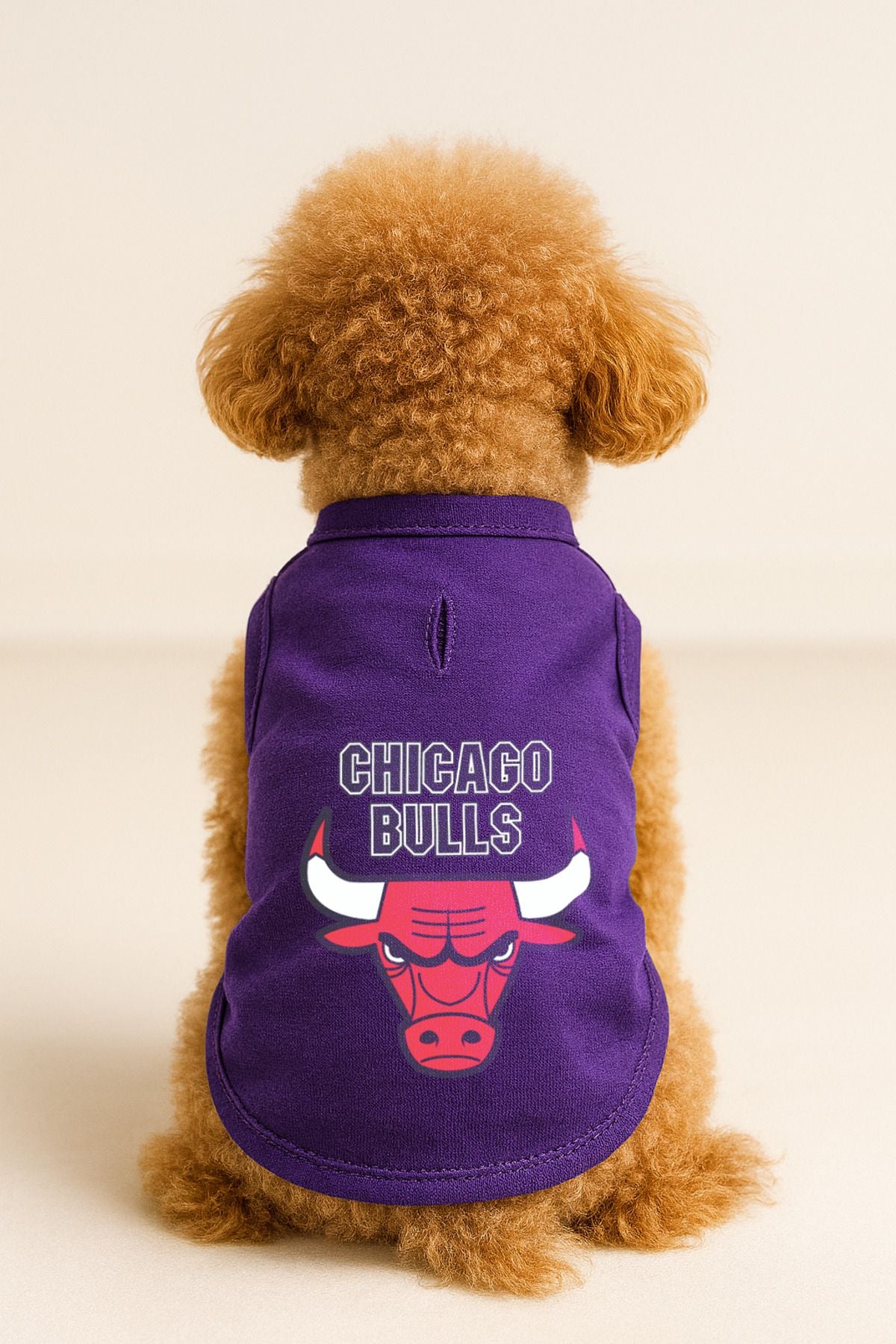 Kedi ve Köpek Kıyafeti & Elbisesi - Mor Chicago Bulls Atlet