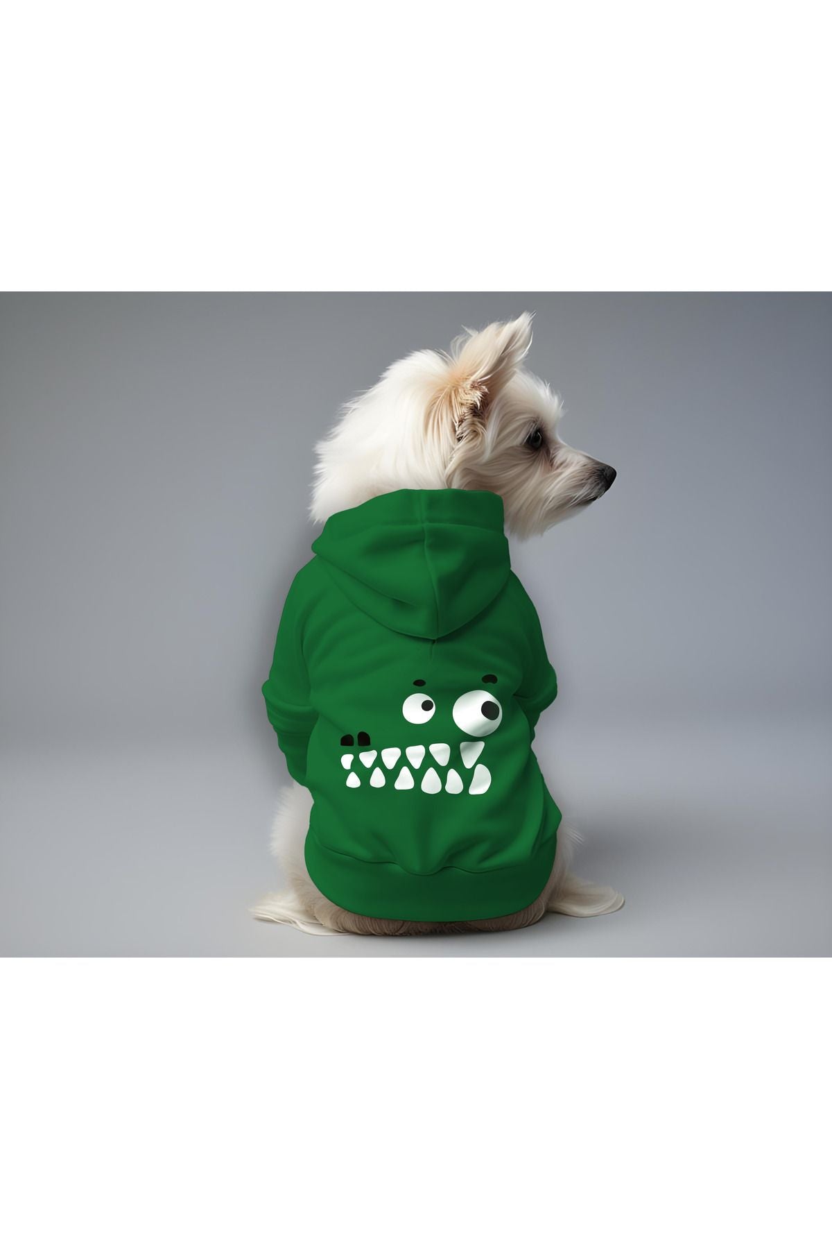 Kedi ve Köpek Kıyafeti & Elbisesi - Yeşil Hoodie Vektör Timsah