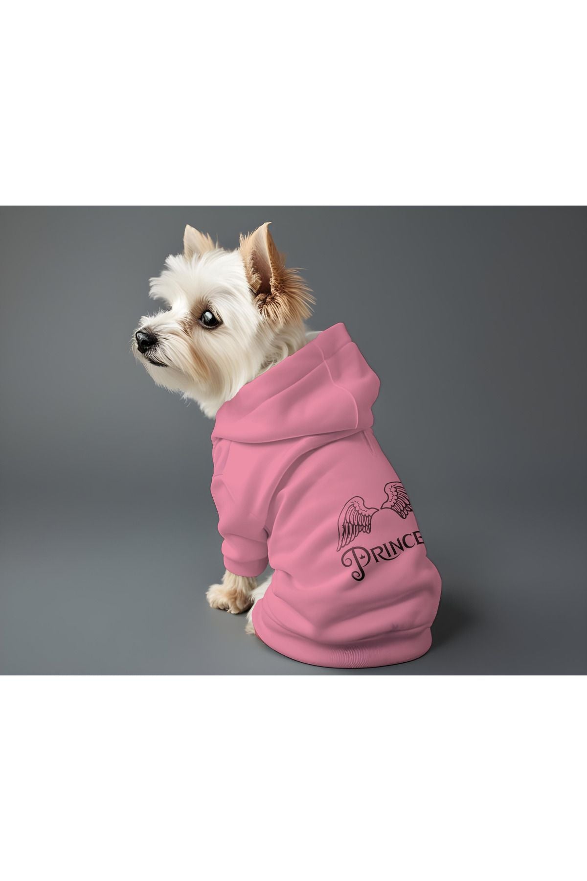 Kedi ve Köpek Kıyafeti & Elbisesi - Pembe Hoodie Prenses