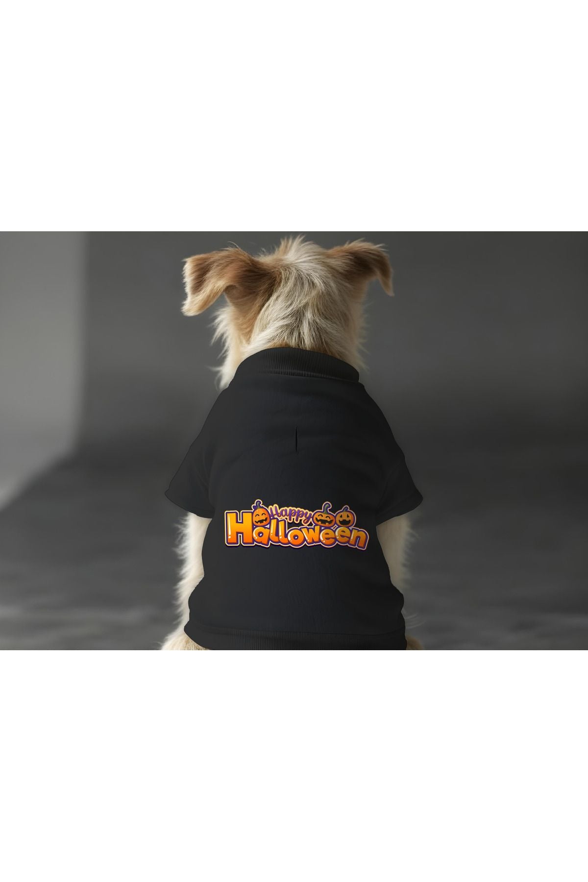 Kedi ve Köpek Kıyafeti & Elbisesi - Siyah Sweatshirt Hallowen