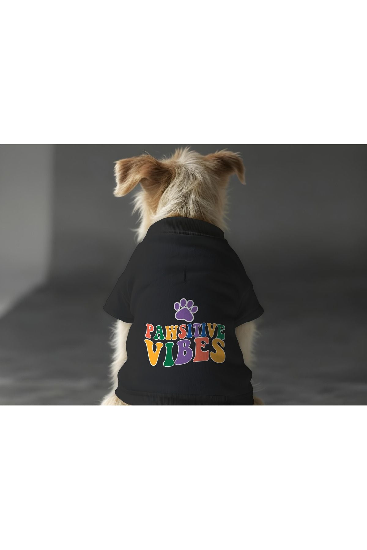 Kedi ve Köpek Kıyafeti & Elbisesi - Siyah Sweatshirt Pawsitive Vibes