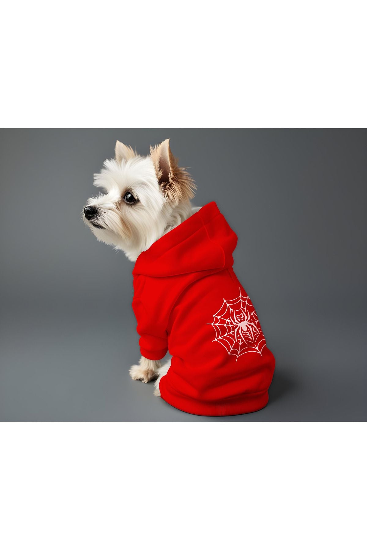 Kedi ve Köpek Kıyafeti & Elbisesi - Kırmızı Hoodie Örümcek