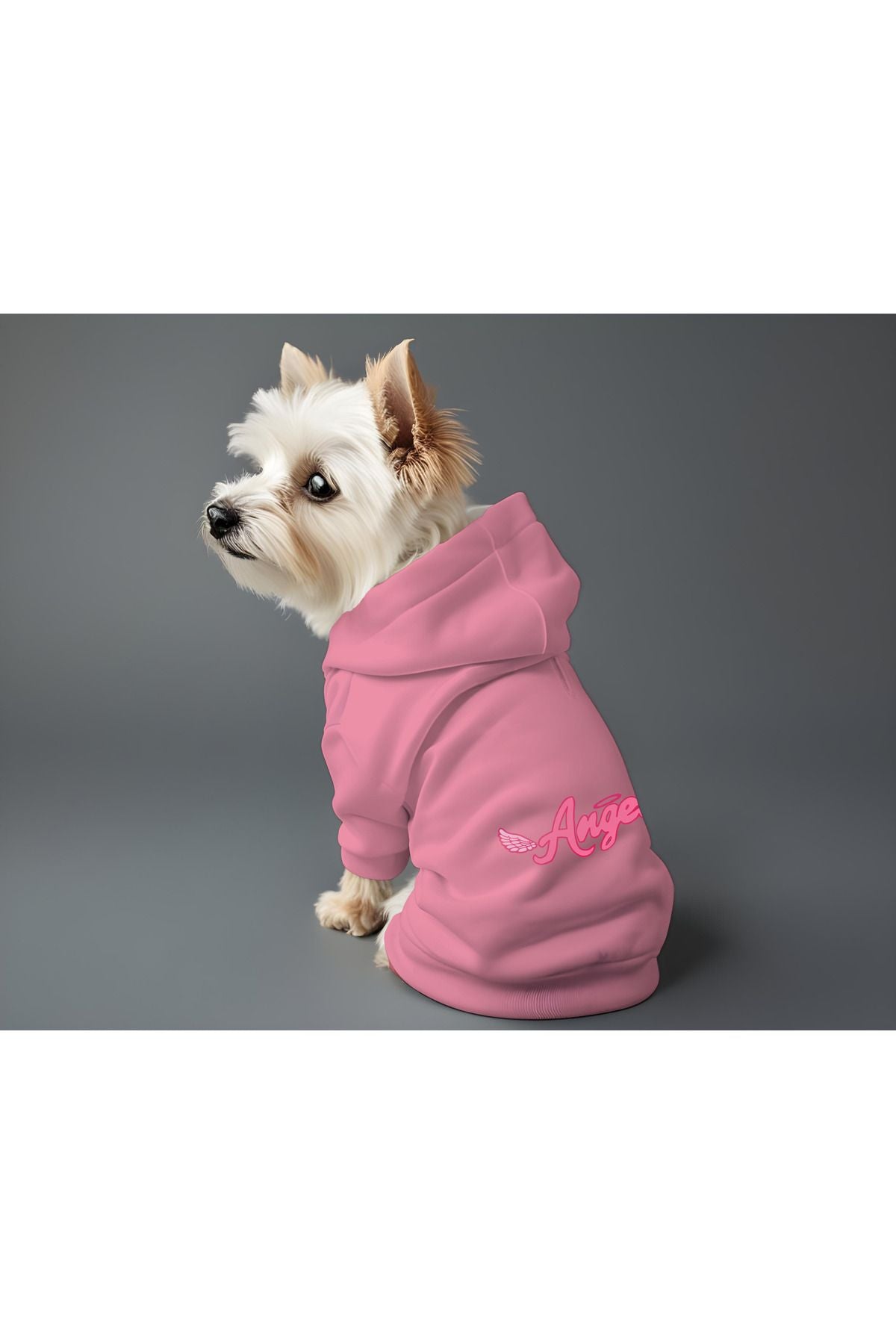 Kedi ve Köpek Kıyafeti & Elbisesi - Pembe Hoodie Angel