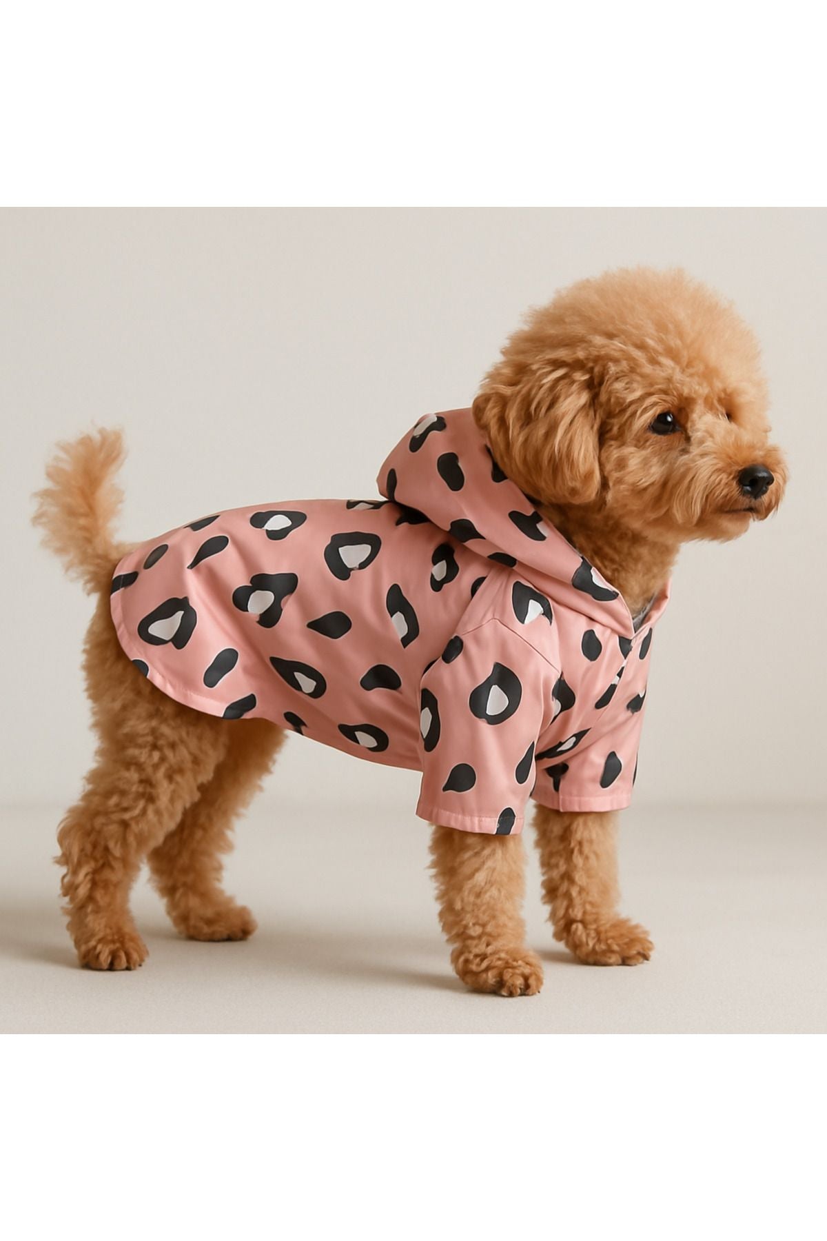 Kedi ve Köpek Kıyafeti & Elbisesi & Yağmurluğu - Açık Pembe Leopar Baskılı Fileli Yağmurluk