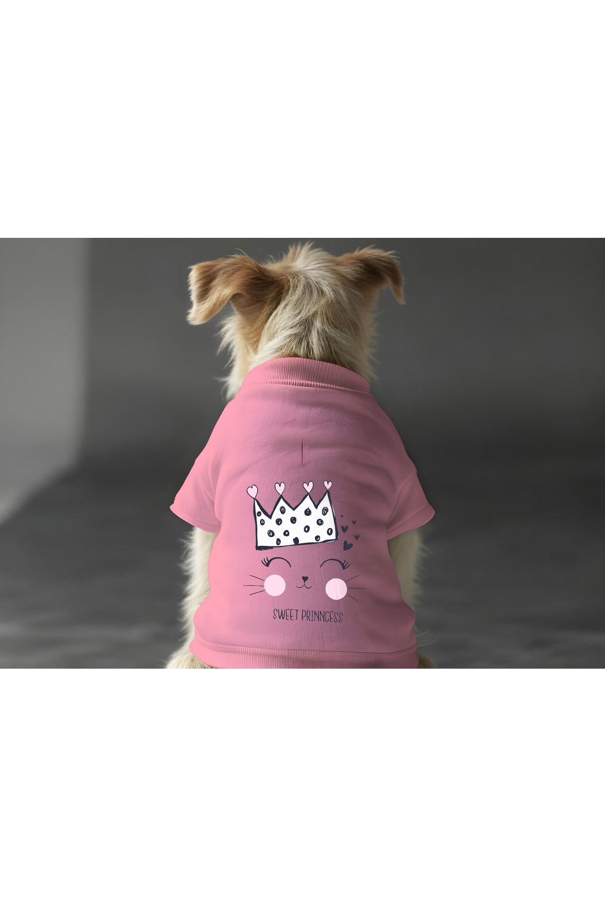 Kedi ve Köpek Kıyafeti & Elbisesi - Pembe Sweatshirt Sweet Prenses