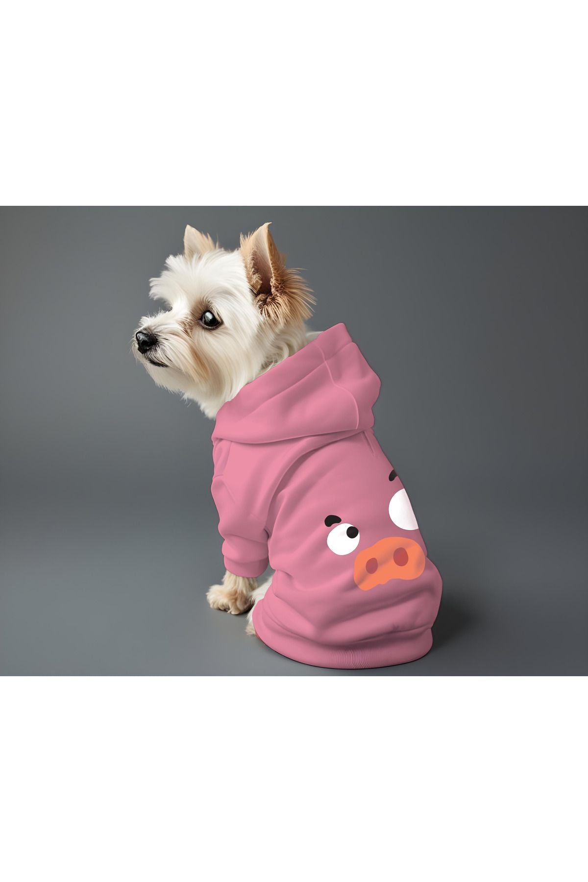 Kedi ve Köpek Kıyafeti & Elbisesi - Pembe Hoodie Vektör Domuz