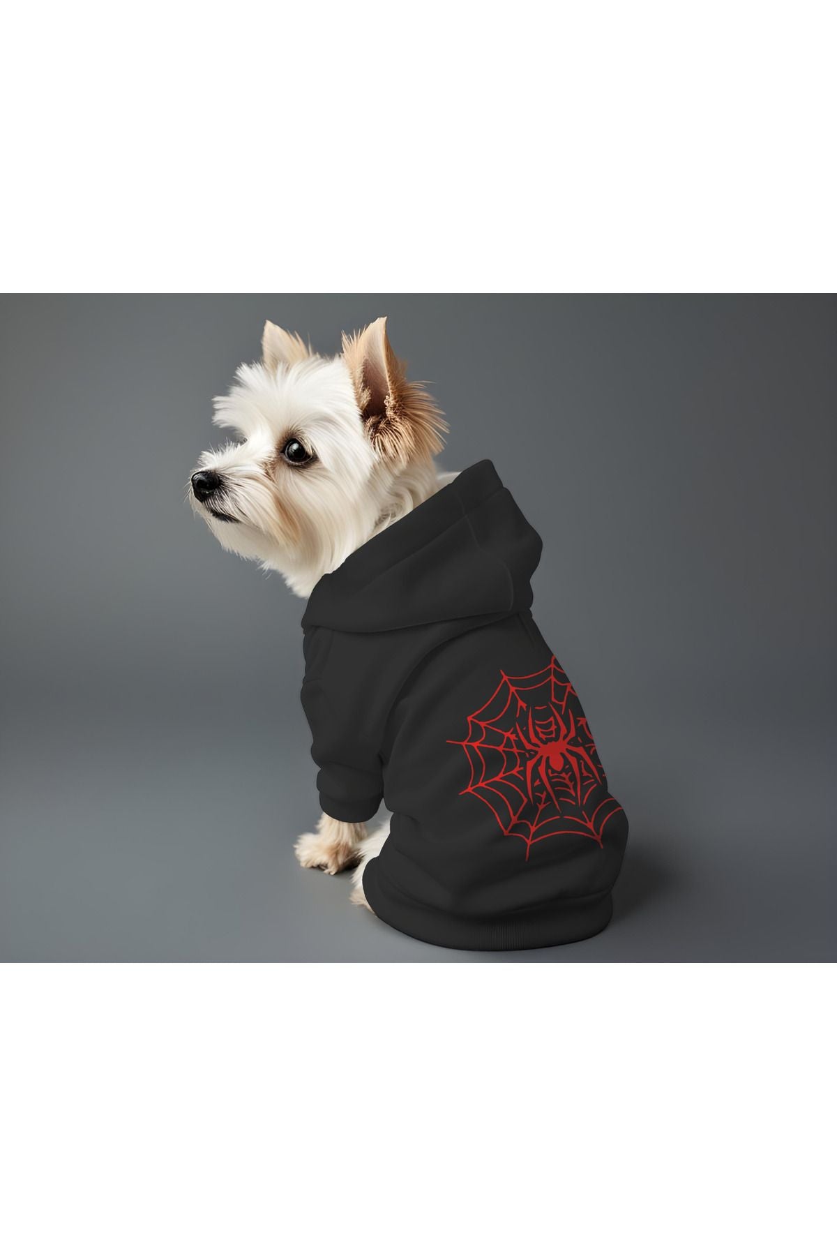 Kedi ve Köpek Kıyafeti & Elbisesi - Siyah Hoodie Örümcek