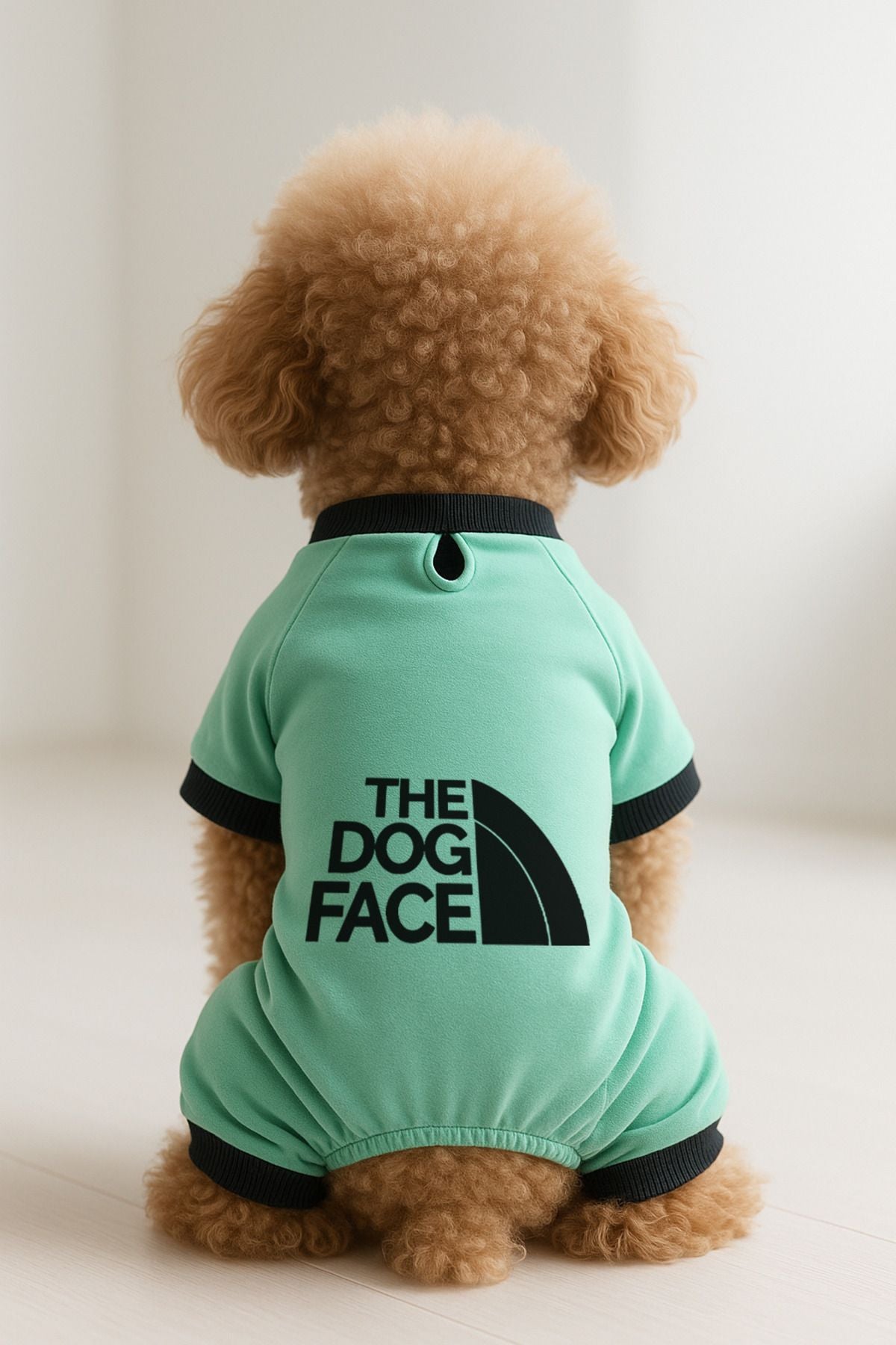 Kedi ve Köpek Kıyafeti & Elbisesi - Mint 4 Bacak Tulum The Dog Face