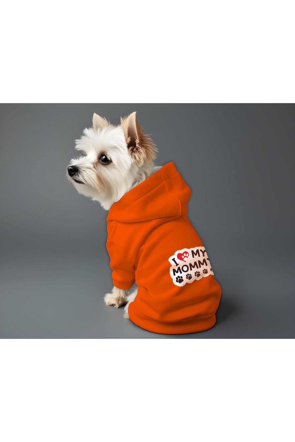 Kedi ve Köpek Kıyafeti & Elbisesi - Turuncu Hoodie I My Mommy