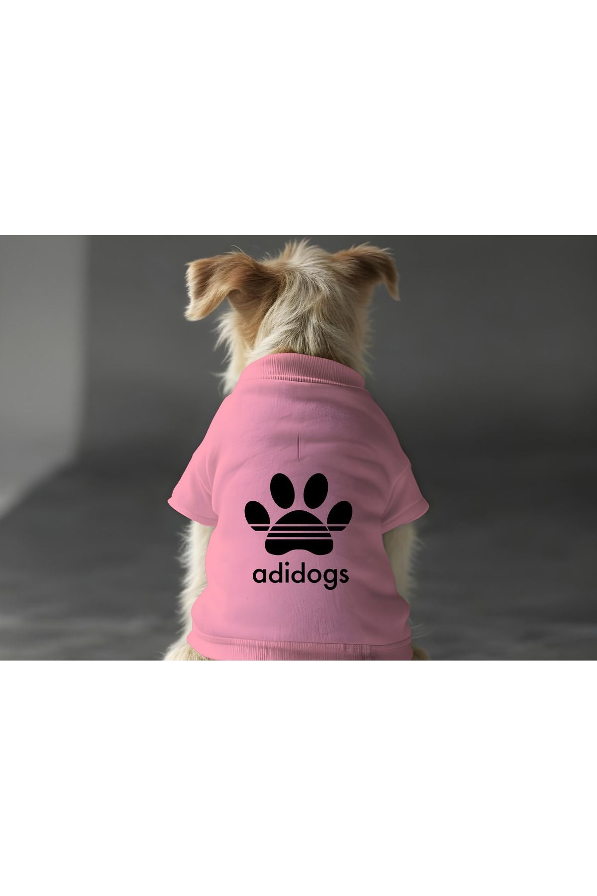 Kedi ve Köpek Kıyafeti & Elbisesi - Pembe Sweatshirt Paw Adidog