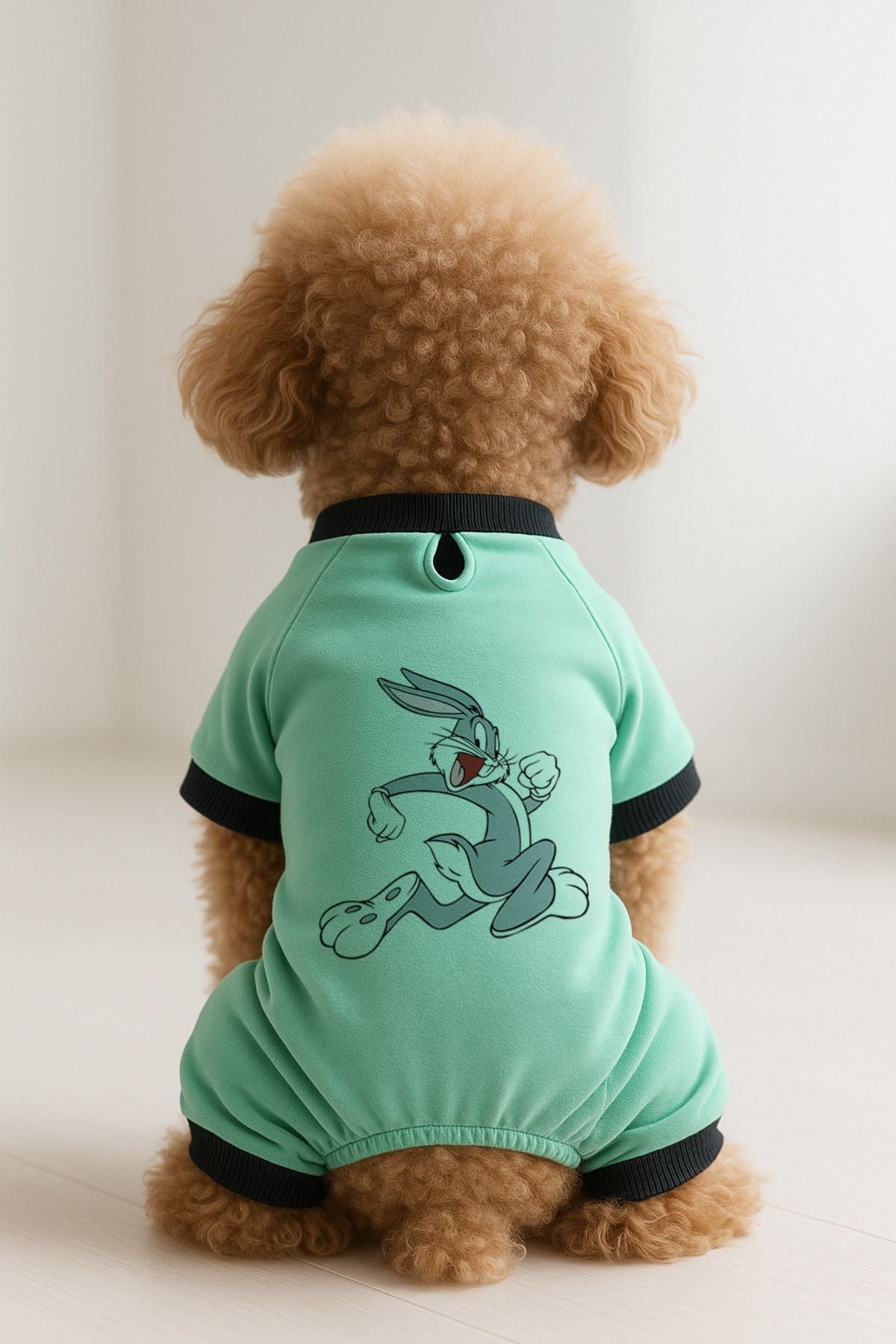 Kedi ve Köpek Kıyafeti & Elbisesi - Mint 4 Bacak Tulum Bugs Bunny