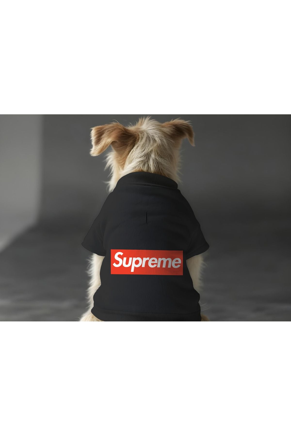 Kedi ve Köpek Kıyafeti & Elbisesi - Siyah Sweatshirt Supreme