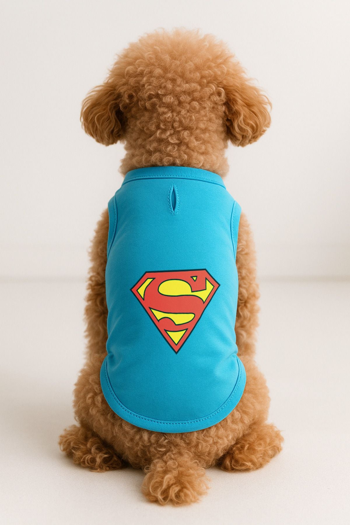 Kedi ve Köpek Kıyafeti & Elbisesi - Turkuaz Superman Atlet