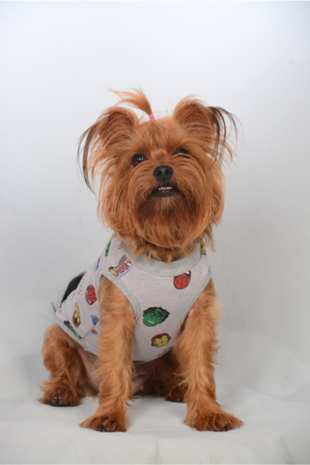 Organik Kumaşlı Köpek Ve Kedi Kıyafeti - Marvel