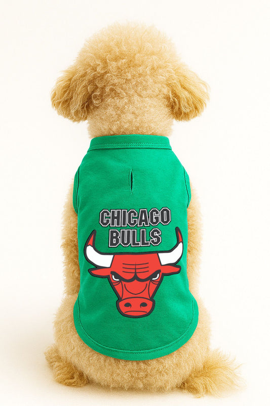 Kedi ve Köpek Kıyafeti & Elbisesi - Yeşil Chicago Bulls Atlet