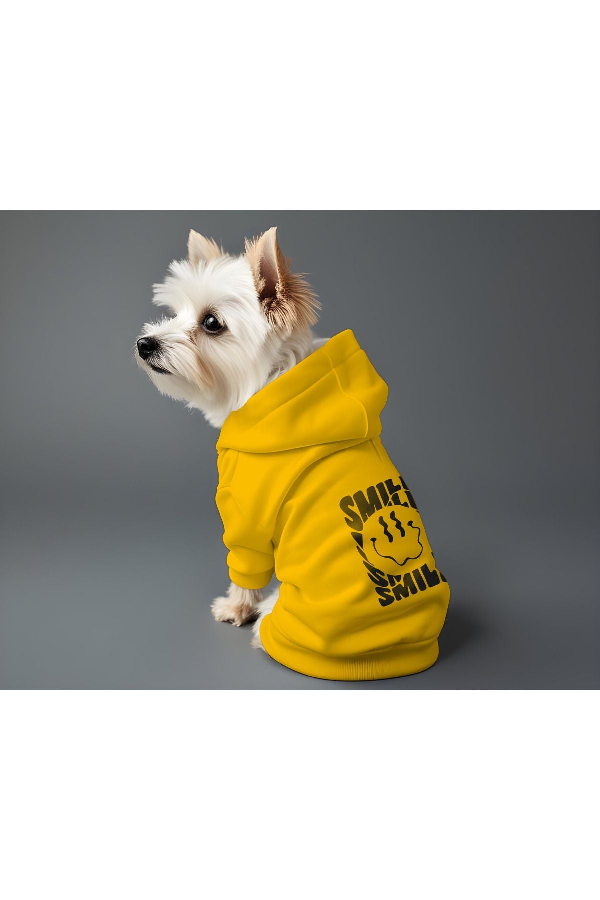 Kedi ve Köpek Kıyafeti & Elbisesi - Sarı Hoodie Smile