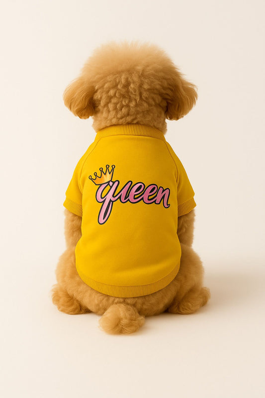 Kedi ve Köpek Kıyafeti & Elbisesi - Sarı Sweatshirt Queen