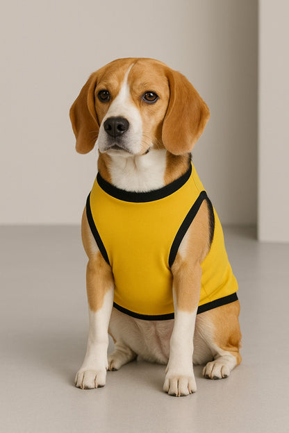 Yeni Sezon Köpek Ve Kedi Kıyafeti - Hardal Love