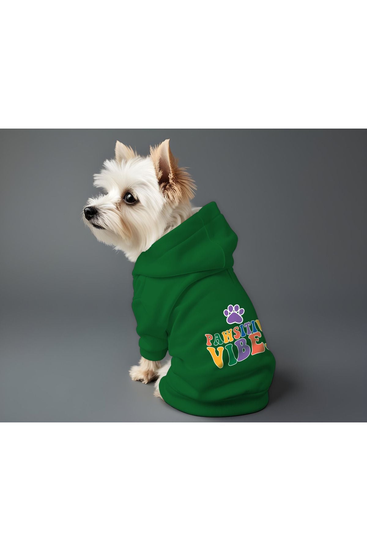 Kedi ve Köpek Kıyafeti & Elbisesi - Yeşil Hoodie Pawsitive Vibes