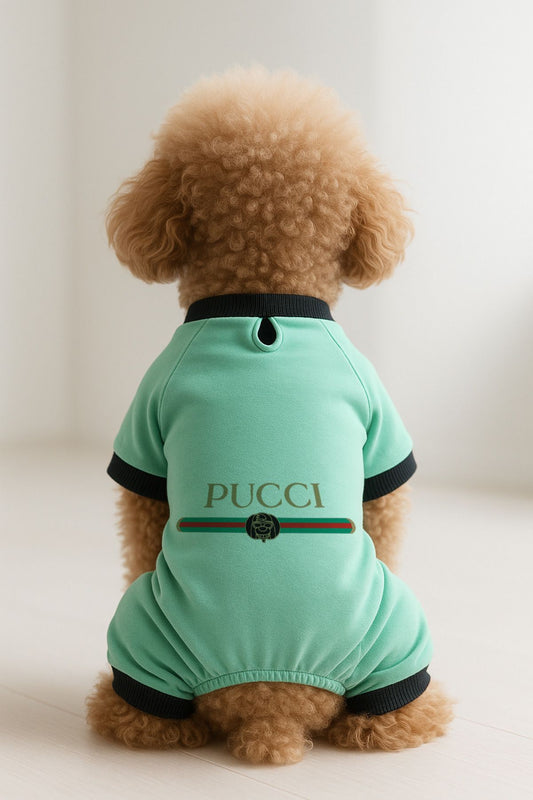 Kedi ve Köpek Kıyafeti & Elbisesi - Mint 4 Bacak Tulum Pucci