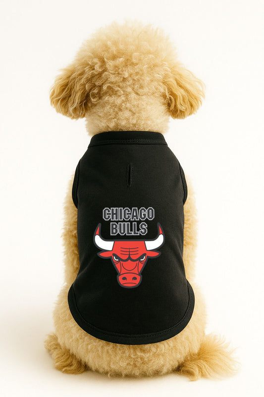 Kedi ve Köpek Kıyafeti & Elbisesi - Siyah Chicago Bulls Atlet