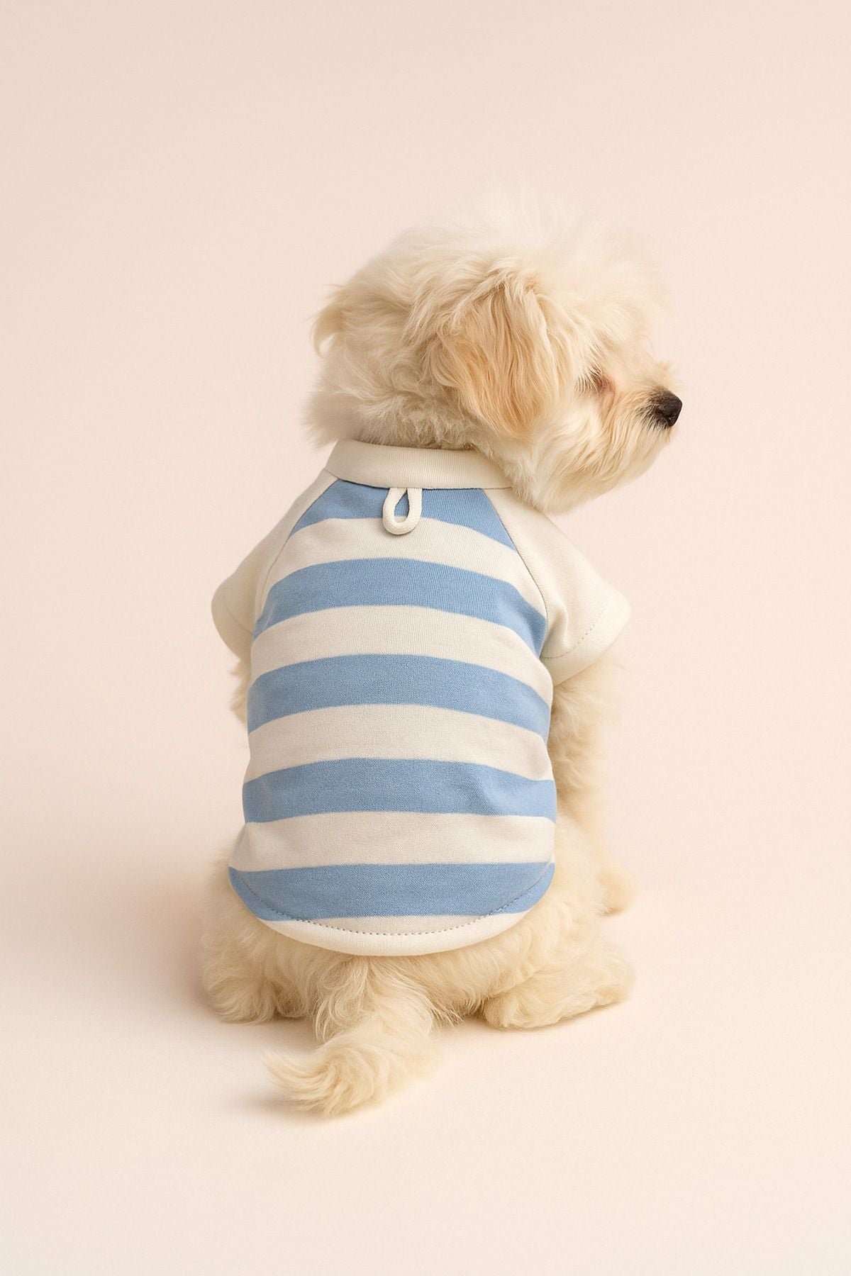 %100 Pamuk Kedi ve Köpek Kıyafeti - Mavi Beyaz Çizgili Basic T-Shirt