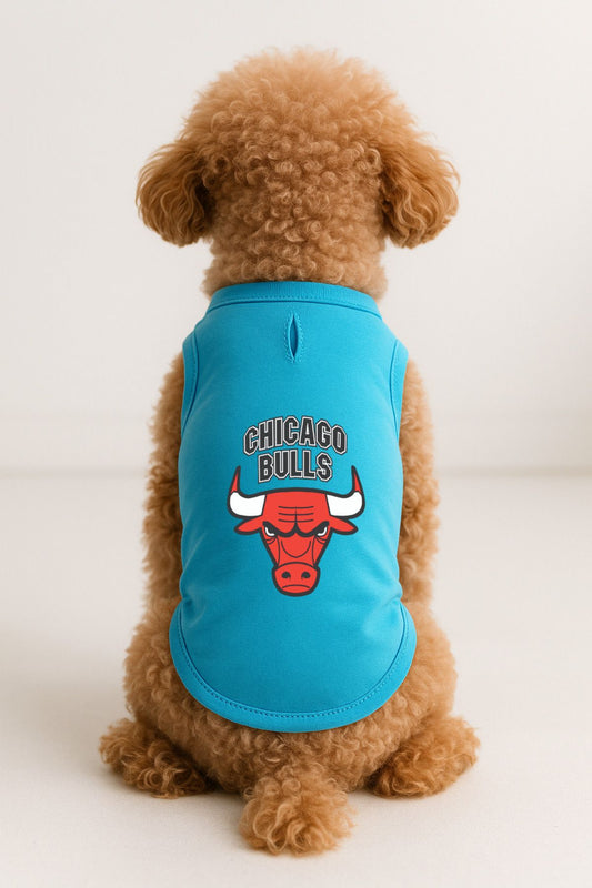 Kedi ve Köpek Kıyafeti & Elbisesi - Turkuaz Chicago Bulls Atlet