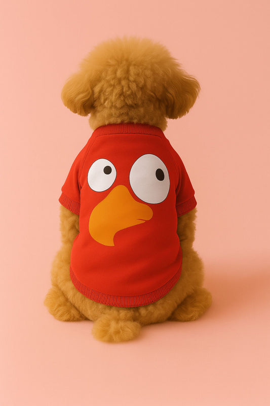 Kedi ve Köpek Kıyafeti & Elbisesi - Kırmızı Sweatshirt Vektör Kuş