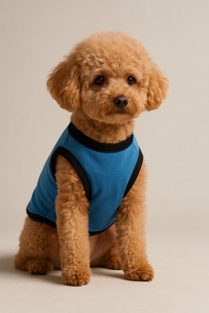 Yeni Sezon Köpek Ve Kedi Kıyafeti - Mavi Mickey Mouse
