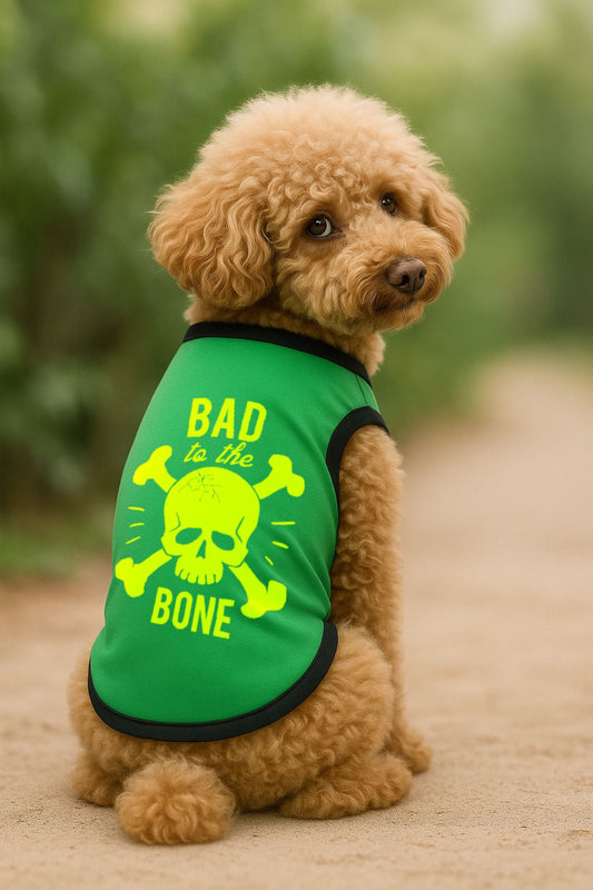 Yeni Sezon Köpek Ve Kedi Kıyafeti - Yeşil Bad To The Bone