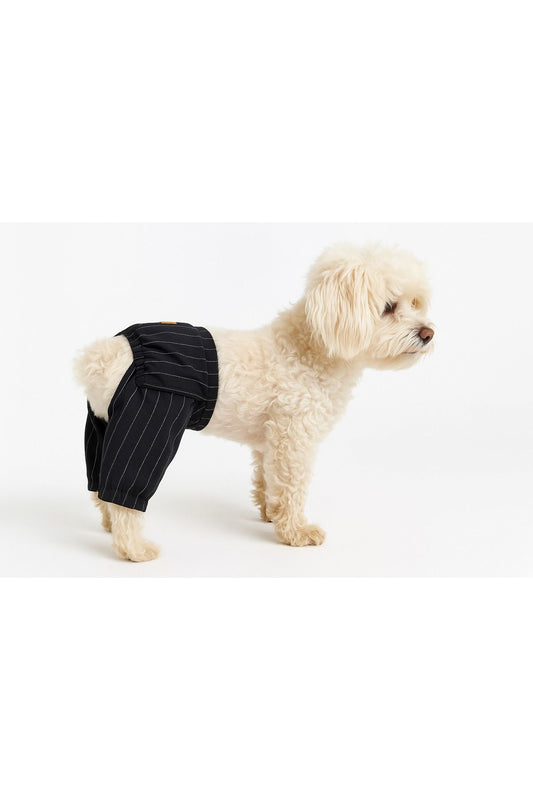 Kedi ve Köpek Kıyafeti & Elbisesi - Siyah Beyaz Çizgili Pantolon