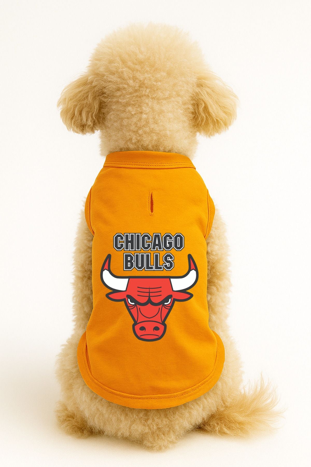 Kedi ve Köpek Kıyafeti & Elbisesi - Turuncu Chicago Bulls Atlet