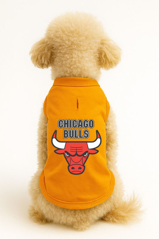 Kedi ve Köpek Kıyafeti & Elbisesi - Turuncu Chicago Bulls Atlet