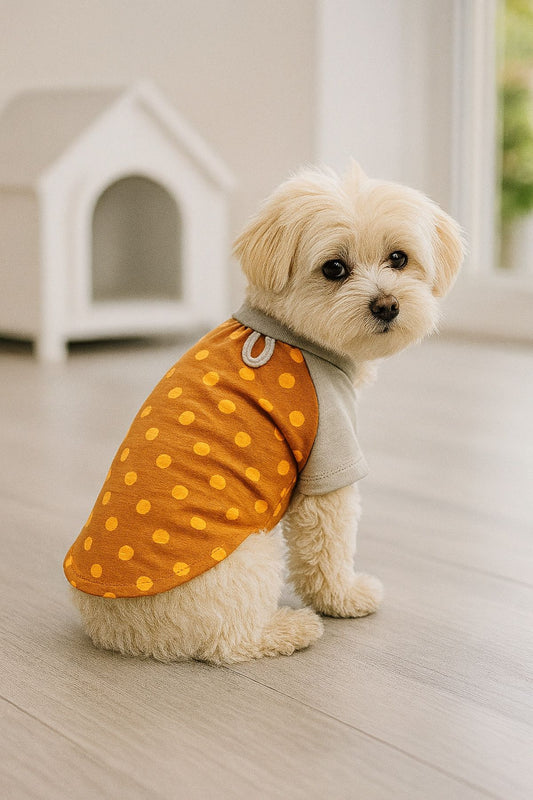%100 Pamuk Kedi ve Köpek Kıyafeti - Turuncu Puantiyeli Basic T-Shirt