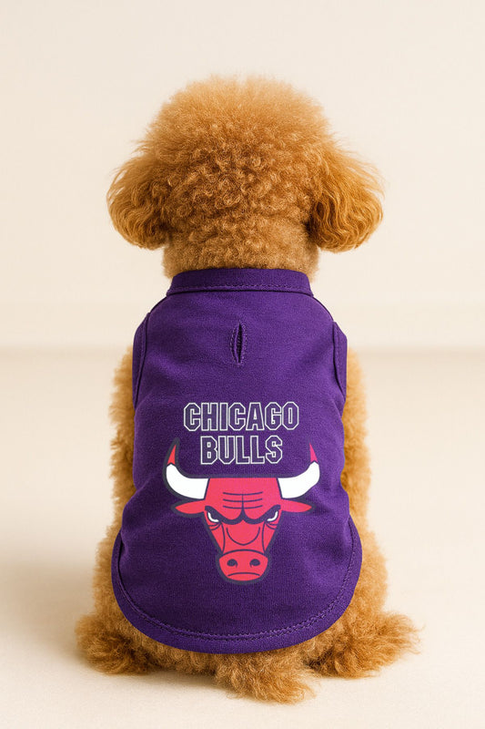 Kedi ve Köpek Kıyafeti & Elbisesi - Mor Chicago Bulls Atlet