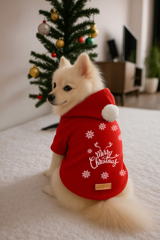 Kapişonlu Sweatshirt Köpek Ve Kedi Yılbaşı Kıyafeti - Yılbaşı Özel Noel Baba