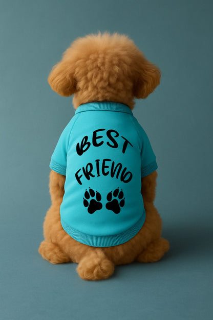 Kedi ve Köpek Kıyafeti & Elbisesi - Mavi Sweatshirt Best Friend