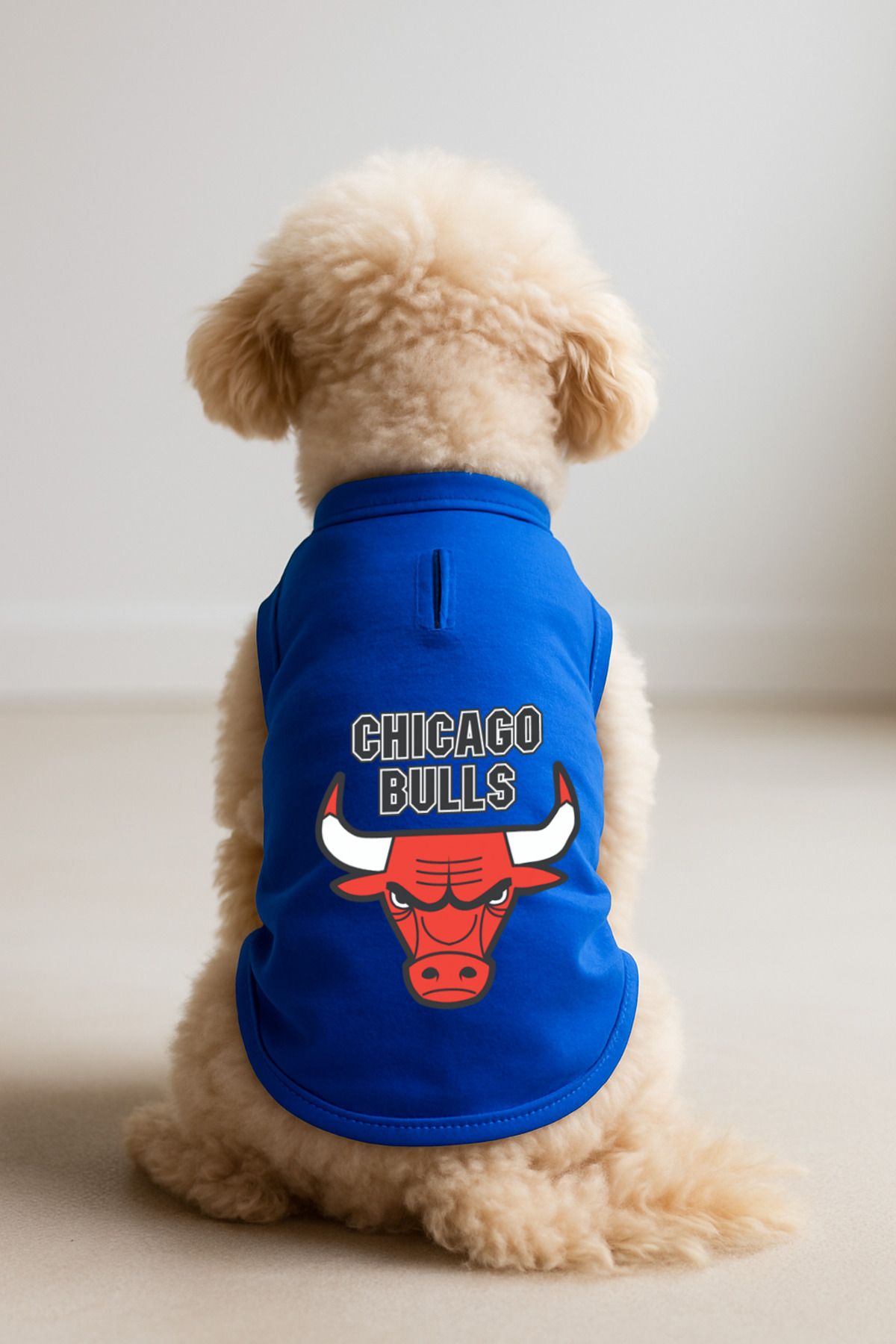 Kedi ve Köpek Kıyafeti & Elbisesi - Saks Mavi Chicago Bulls Atlet