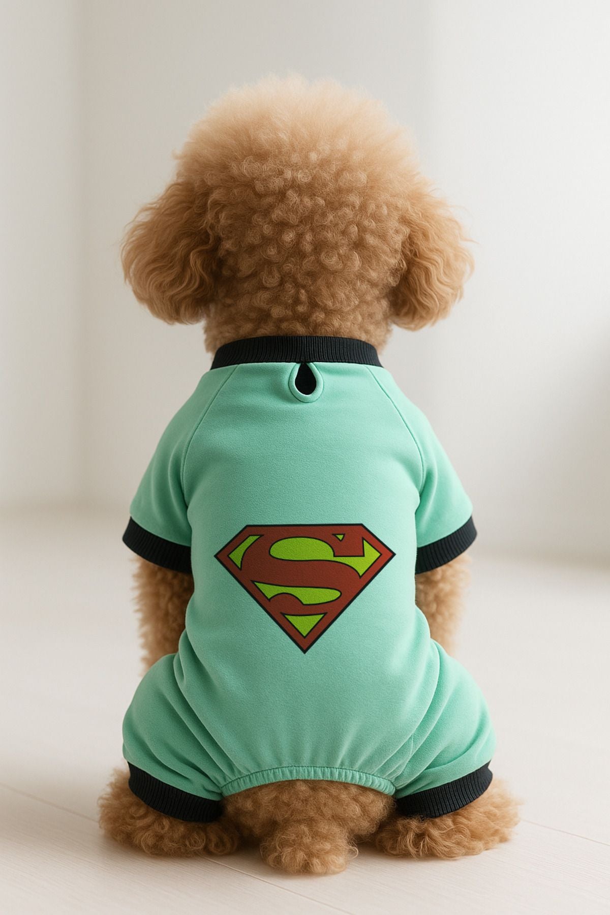 Kedi ve Köpek Kıyafeti & Elbisesi - Mint 4 Bacak Tulum Superman