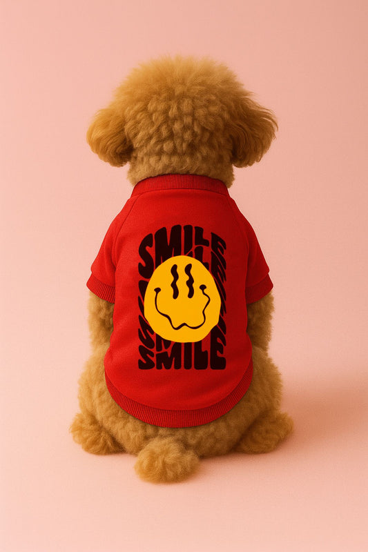 Kedi ve Köpek Kıyafeti & Elbisesi - Kırmızı Sweatshirt Smile